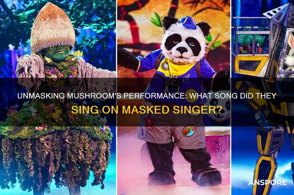 what did mushroom sing on masked singer