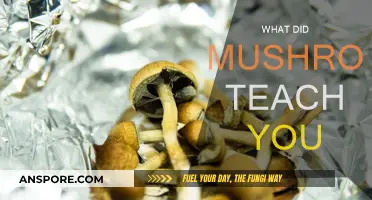 Mushrooms: A Teacher of Life's Lessons