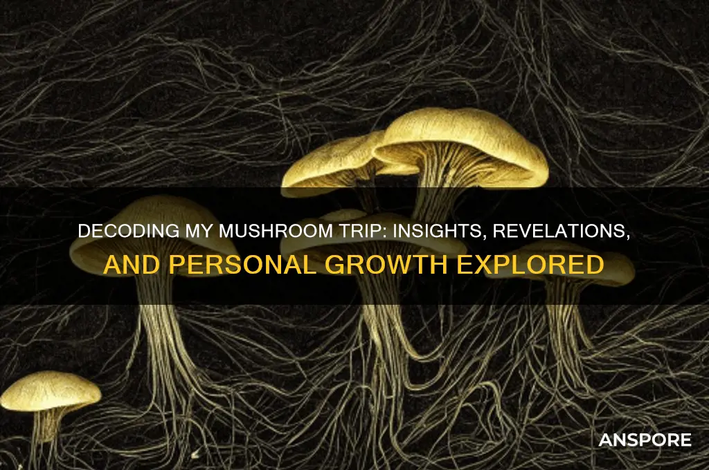 what did my mushroom trip mean