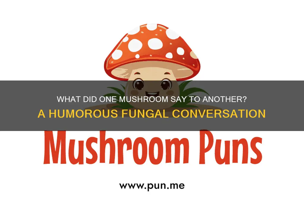 what did one mushroom say to another