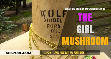 What Did the Boy Mushroom Say? A Fungal Love Story