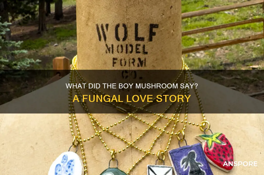 what did the boy mushroom say to the girl mushroom