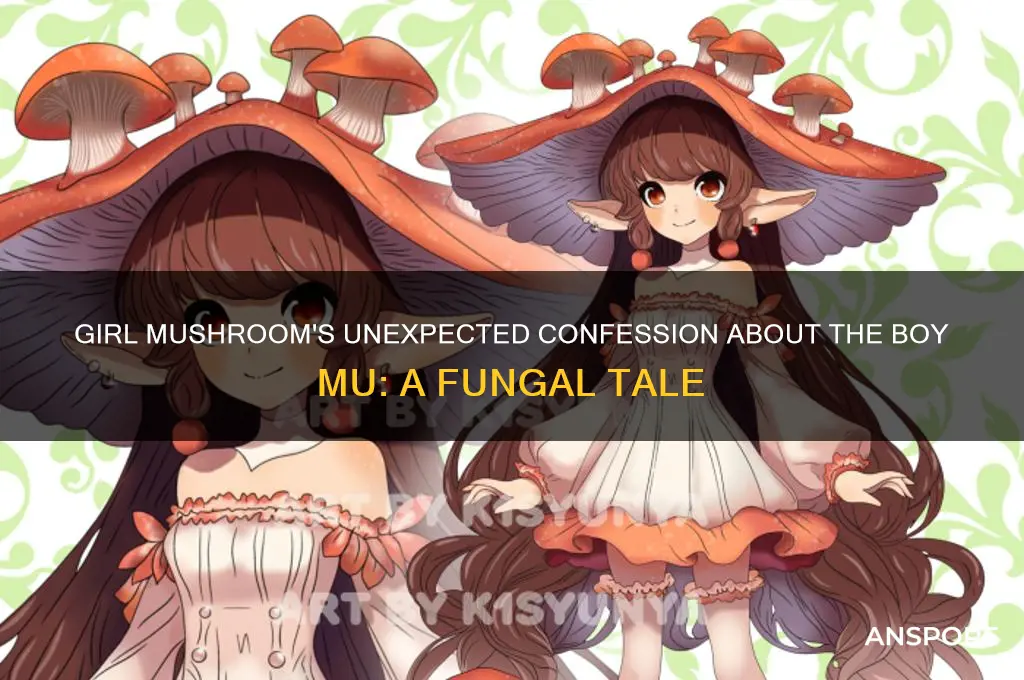 what did the girl mushroom say about the boy mu