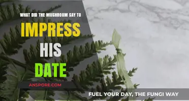 Spore-tacular Charm: A Mushroom’s Witty Line to Wow His Date