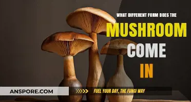 Exploring the Diverse Forms and Varieties of Mushrooms