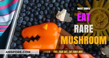 Unveiling the Mystery: Rare Mushrooms in Dinosaur Diets Explored