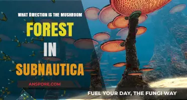 Navigating Subnautica: Locating the Mushroom Forest's Direction Easily