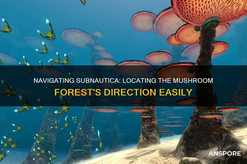 what direction is the mushroom forest in subnautica