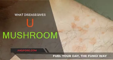 Mysterious Mushrooms: Unveiling the Secrets of Disease-Induced Growth