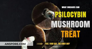 Psilocybin Mushrooms: Unlocking Potential Treatments for Mental Health Disorders