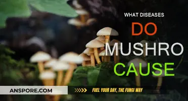 Mushrooms: The Hidden Diseases They Cause