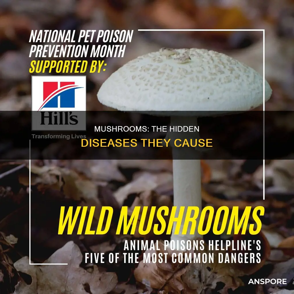 what diseases do mushrooms cause