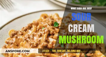 Beef, Sour Cream, and Mushrooms: A Hearty Dish to Try