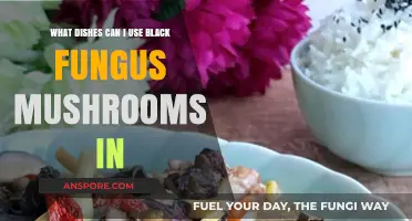Creative Ways to Use Black Fungus Mushrooms in Delicious Dishes