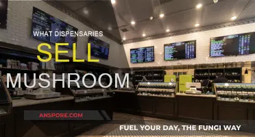 Mushroom Dispensaries: Where to Buy and What to Know