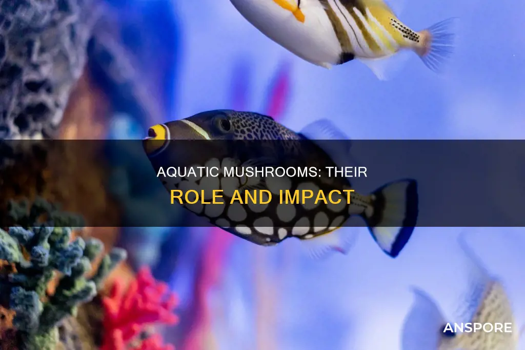 what do aquatic mushrooms do