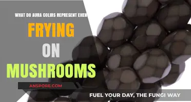 Decoding Mushroom Aura Colors: Symbolism and Insights During Trips