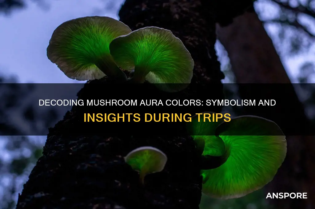 what do aura colirs represent ehen frying on mushrooms