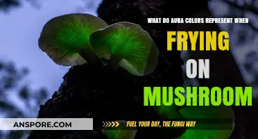 Exploring Aura Colors and Their Meanings During Mushroom-Induced Experiences