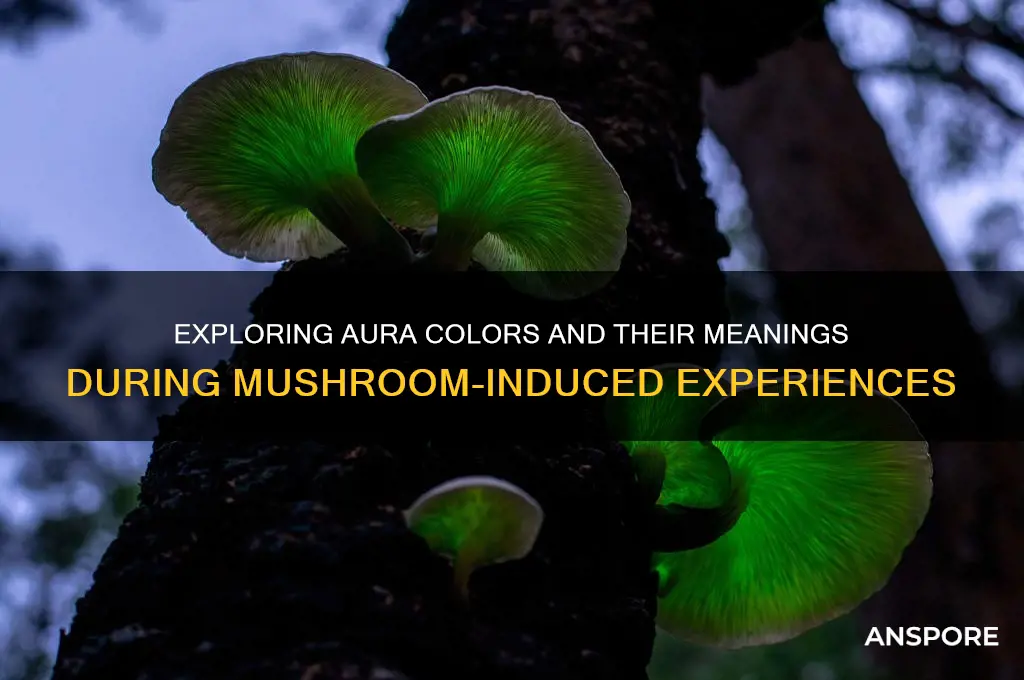 what do aura colors represent when frying on mushrooms