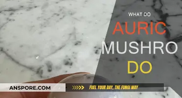 Auric Mushrooms: Their Magical Powers and Benefits