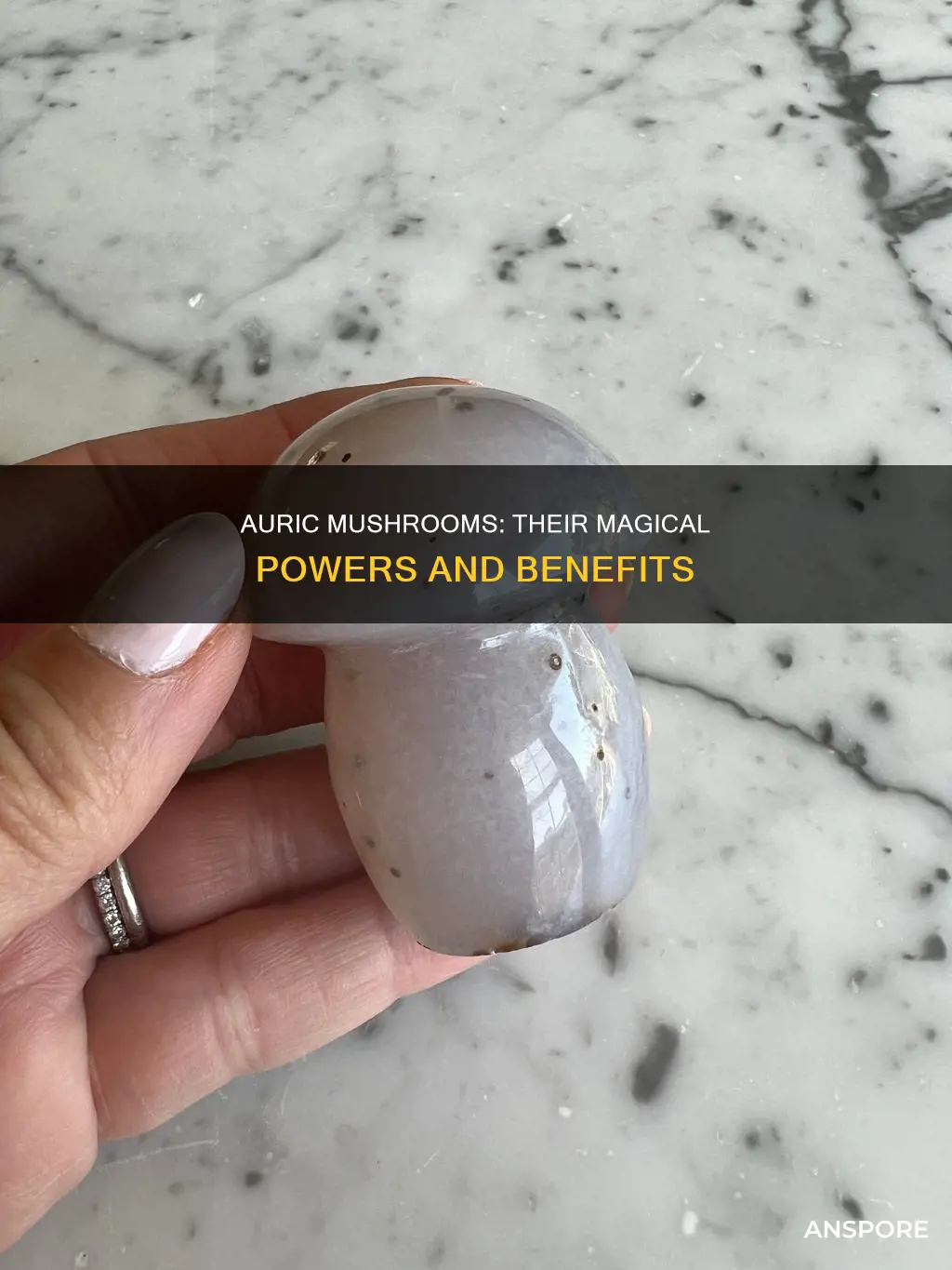 what do auric mushrooms do