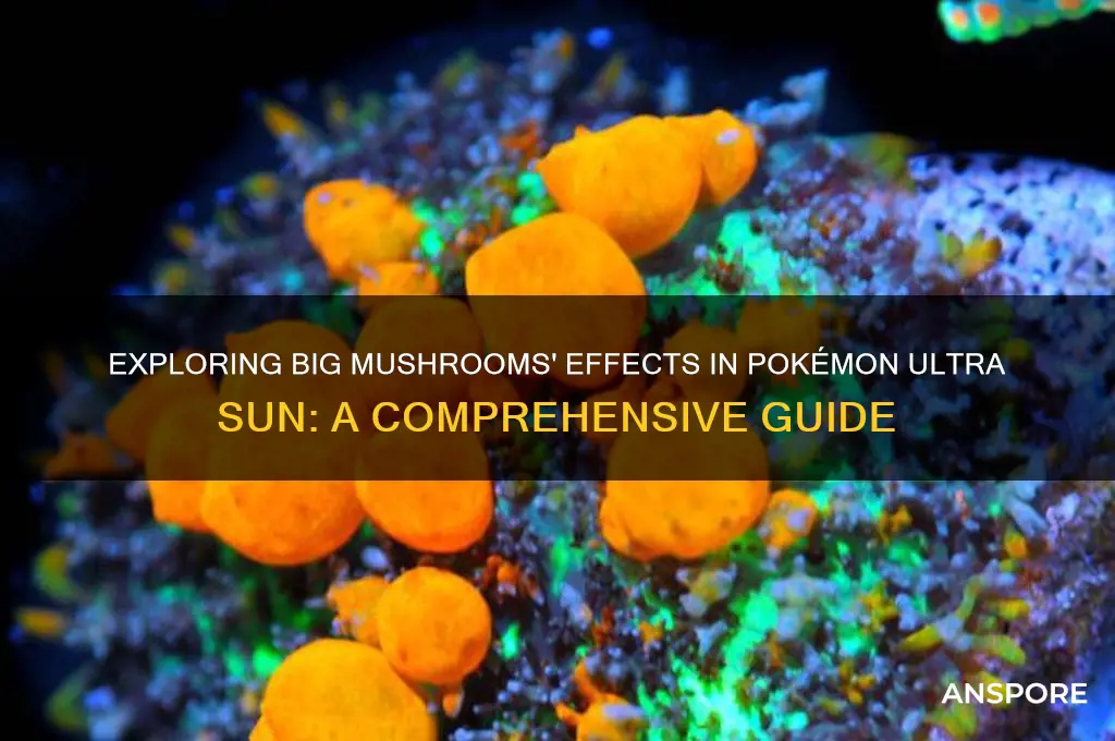 what do big mushrooms do ultra sun