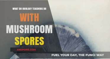 Exploring Mushroom Spores: Biology Teachers' Creative Classroom Experiments