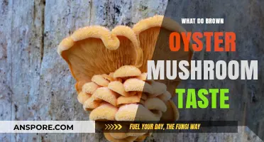 Exploring the Earthy, Nutty Flavor of Brown Oyster Mushrooms