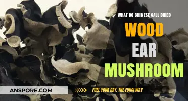 Unveiling the Chinese Name for Dried Wood Ear Mushroom: A Culinary Insight