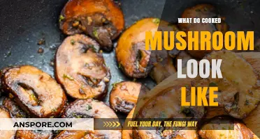 Exploring Cooked Mushrooms: Appearance, Texture, and Culinary Transformation