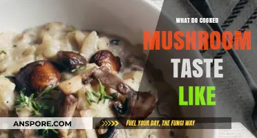 Exploring the Earthy, Savory, and Umami Flavors of Cooked Mushrooms