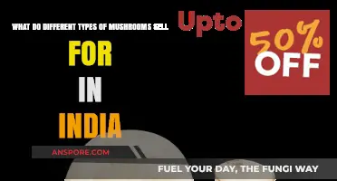 Exploring Mushroom Prices: Varieties and Costs in India's Market