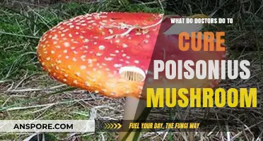Treating Poisonous Mushroom Ingestion: Medical Protocols and Emergency Care