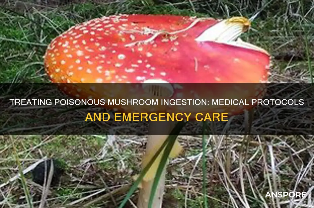 what do doctors do to cure poisonius mushrooms