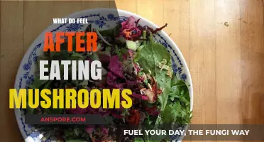 Post-Mushroom Meal Feelings: Sensations, Effects, and Emotional Responses Explored