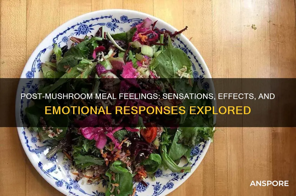 what do feel after eating mushrooms