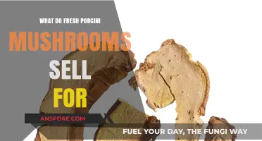 Fresh Porcini Mushrooms: Current Market Prices and Value Insights