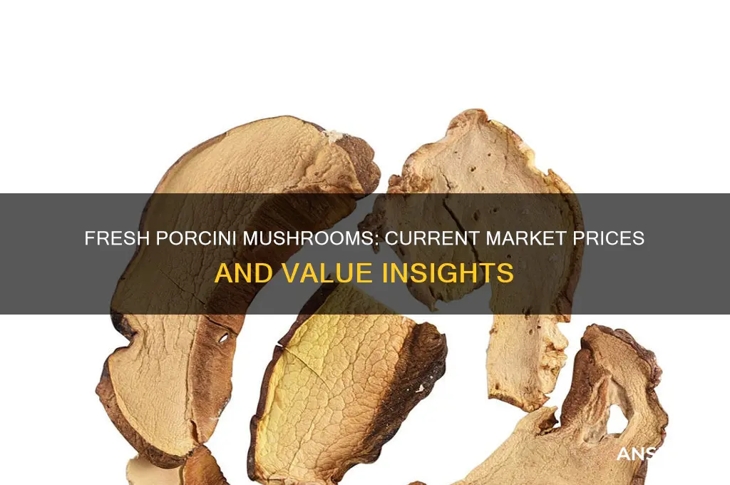 what do fresh porcini mushrooms sell for