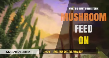 Unveiling the Diet of Giant Prehistoric Mushrooms: A Paleobotanical Mystery