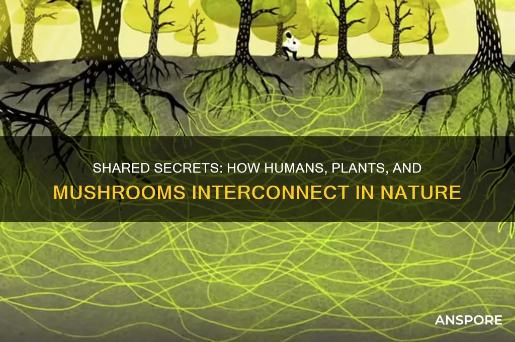 what do human plants and mushrooms have in common