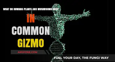 Shared Secrets: Humans, Plants, and Mushrooms' Surprising Commonalities