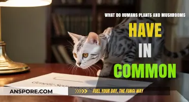 Shared Secrets: Humans, Plants, and Mushrooms' Surprising Commonalities