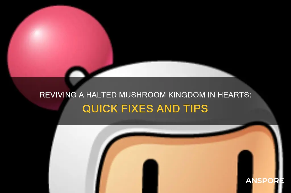 what do i do to a stopped mushroom kingdom hearts