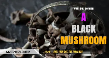 Identifying and Safely Handling a Mysterious Black Mushroom: A Guide