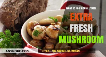 Creative Ways to Use Up Your Abundant Fresh Mushroom Harvest