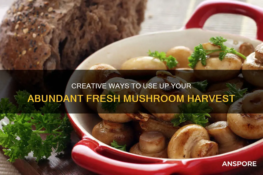 what do i do with all these extra fresh mushrooms