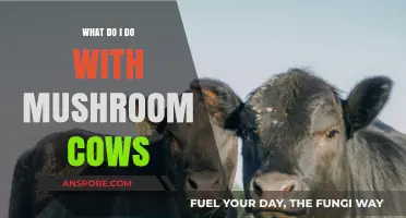 Mushroom Cows: Creative Uses and Care Tips for Mooshrooms