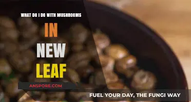 Mushroom Uses in New Leaf: Creative Ideas for Your Harvest