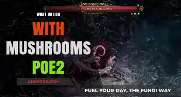 Mastering Mushroom Usage in Pillars of Eternity 2: Deadfire